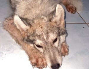 image 750x 69bca68c68bb5