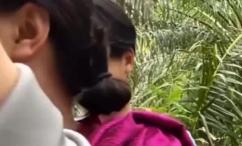 link viral ibu tiri ladang sawit 780x470 1